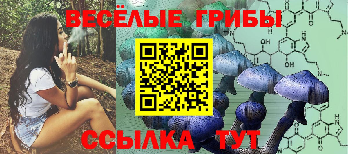 Галлюциногенные грибы Magic Shrooms Нижнекамск