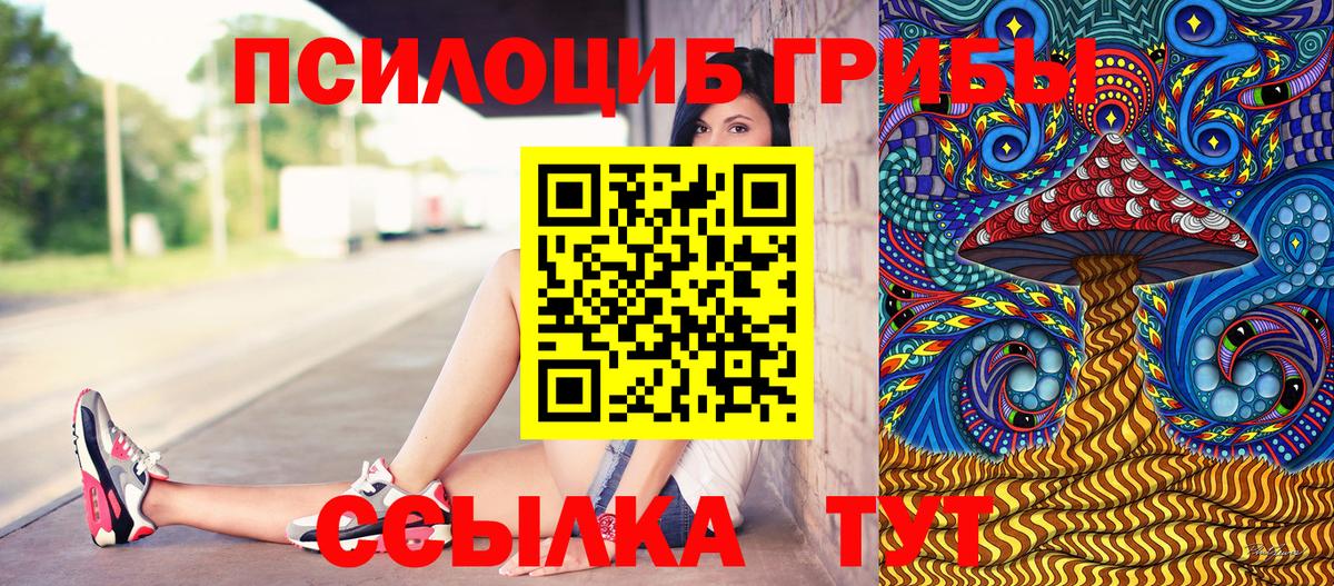 Псилоцибиновые грибы GOLDEN TEACHER  Вход с VPN  Нижнекамск 
